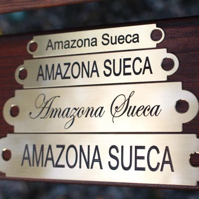 Engraved Name Plate For Dog Collars