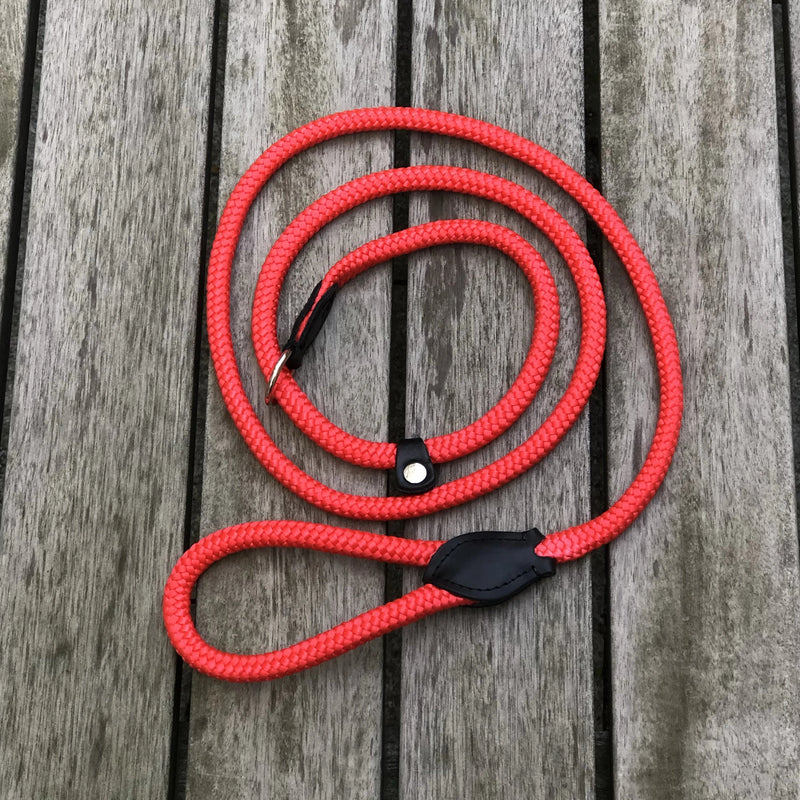 Combined Rope Collar & Leash Red